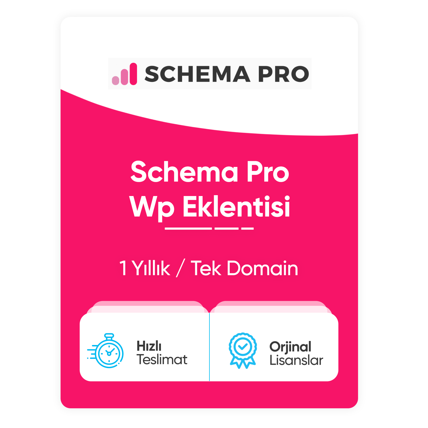 schema-pro-eklentisi.png